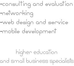 -consulting and evaluation
-networking
-web design and service
-mobile development higher education and small business specialists